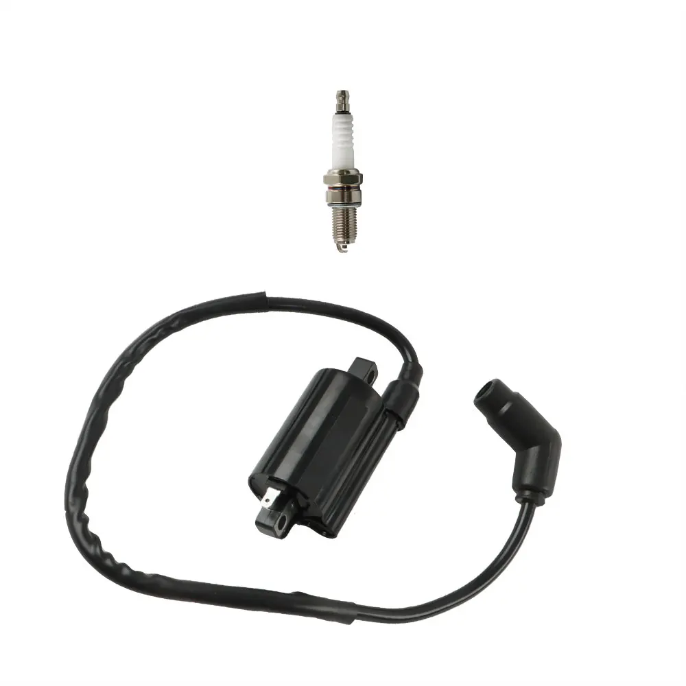 Рисунок 2 - Катушка зажигания и Свеча зажигания