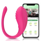 remote app vibrator