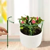 Green Plant Support Pile Frame Greenhouse Arrangement Semicircle Fixed Rod Indoor Flower Plants Vine Climbing Bracket Hock Pen 4