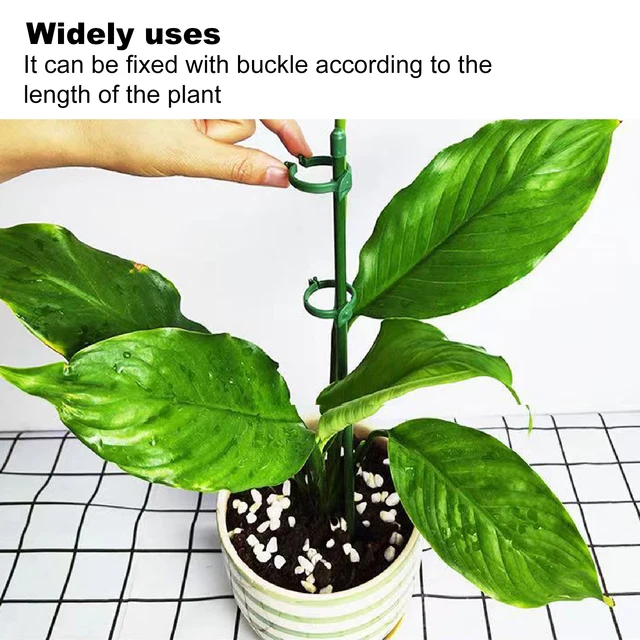 Növénytáblák Zöld Állítható Kerti Egy Szárú Növényi Tartó Tét Botok Gyűrűkkel Virágok Paradicsoma - Image 6