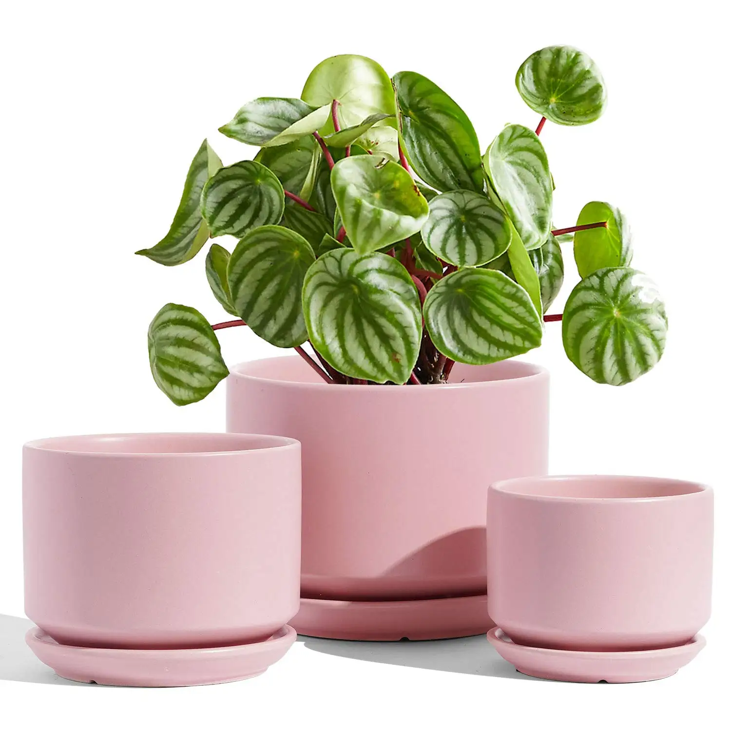 

Ceramic Plant Pots, 4.3+5.3+6.8 inch, Set of 3, Planters with Drainage Hole and Saucer, Indoor Flower Pot, Gifts for Mom, Pink