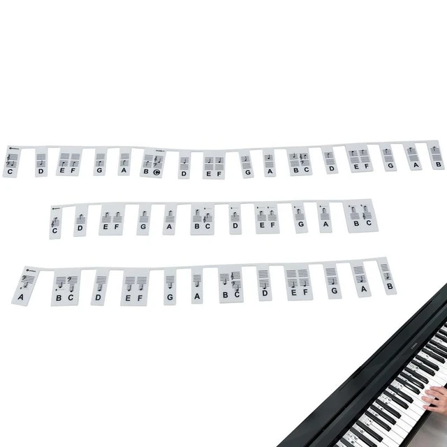 Keyboard Notes Stickers Removable Silicone Piano Keyboard Note Labels  Reusable 88-key Keyboard Note Stickers Piano Notes Guide - AliExpress