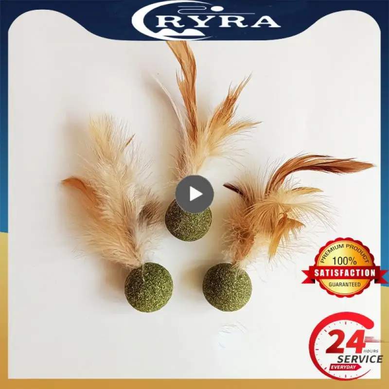 

Игрушки в виде кошачьей мяты, многофункциональная игрушка для кошек с перьями, товары для домашних животных, здоровая кошачья мята, палочка для леденцов, лижущие закуски, стимулируют пищеварение