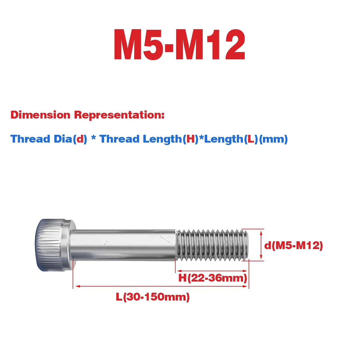 

316 SS Half Tooth Hexagon Socket Screw /Cylindrical Head Bolt Screw M5-M12