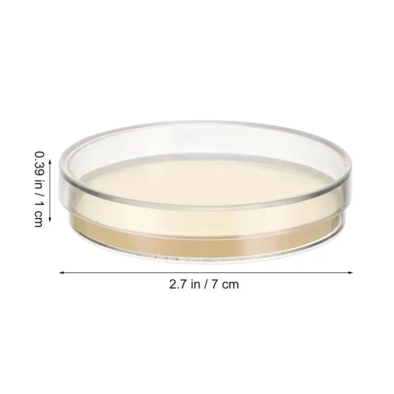Petri dishes 10pcs 7cm prepoured agar plates for science projects
