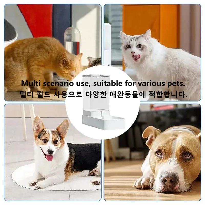 Automatic Gravity Feeder & Water Bowl 6