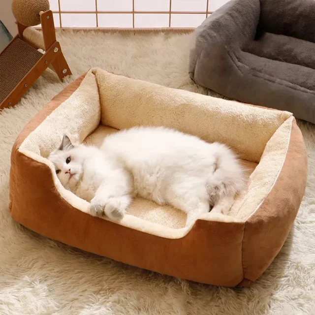 Bed for Cats Pet Products Cushions Kitten Goods Accessories Dog All Houses Supplies Things Accessory Habitats Basket House Beds 4