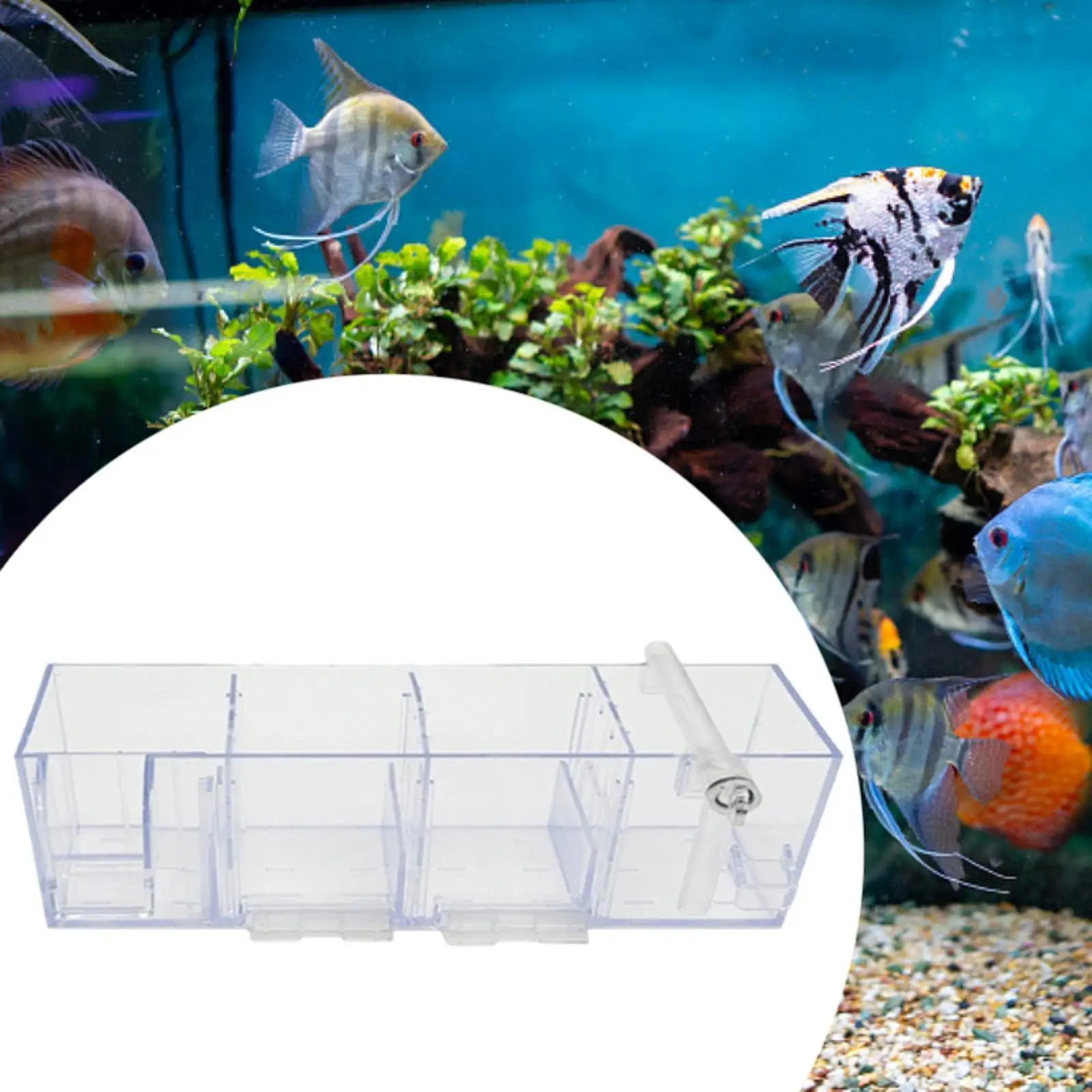 Aquarium Filter System for Fish Tanks, Simple Installation, Silent , Turtle Tanks