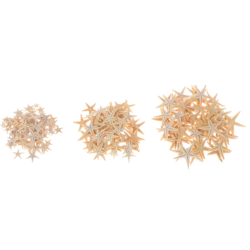 100pcs Mini Starfish Sea shells 0.5-3cm Craft Decoration Natural Sea Stars natural shell ornaments resin starfish ornaments