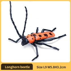 Lifelike Beetle Figures - Educational Toy & Garden Decoration (Longhorn beetle)