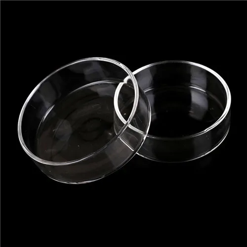 Petri Dishes High Borosilicate Glass Bacterial Petri Dish With Cover Biochemical Culture Dish Labware 60mm