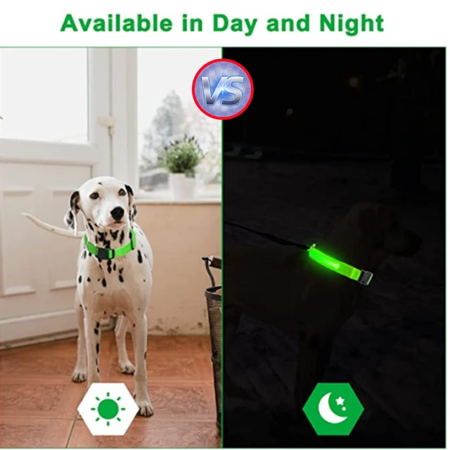 USB Rechargeable Luminous Collar Adjustable Led Glowing Dog Collar for Large Small Dogs Cat Night Light Collar Pet Safety Harnes 5
