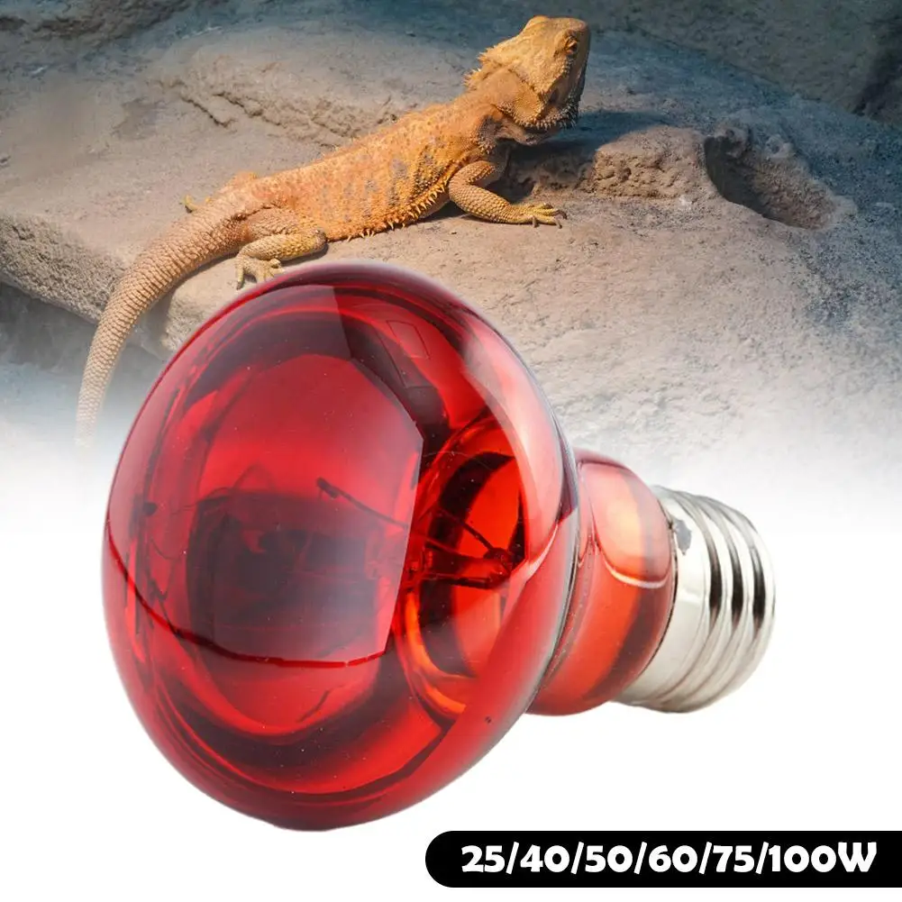 Infrared Heating Bulb Pet Red Heating Lamp 25W 50W 75W 100W Infrared Heating Lamp For Amphibian Snake Heat Reptile Bulb UV Light
