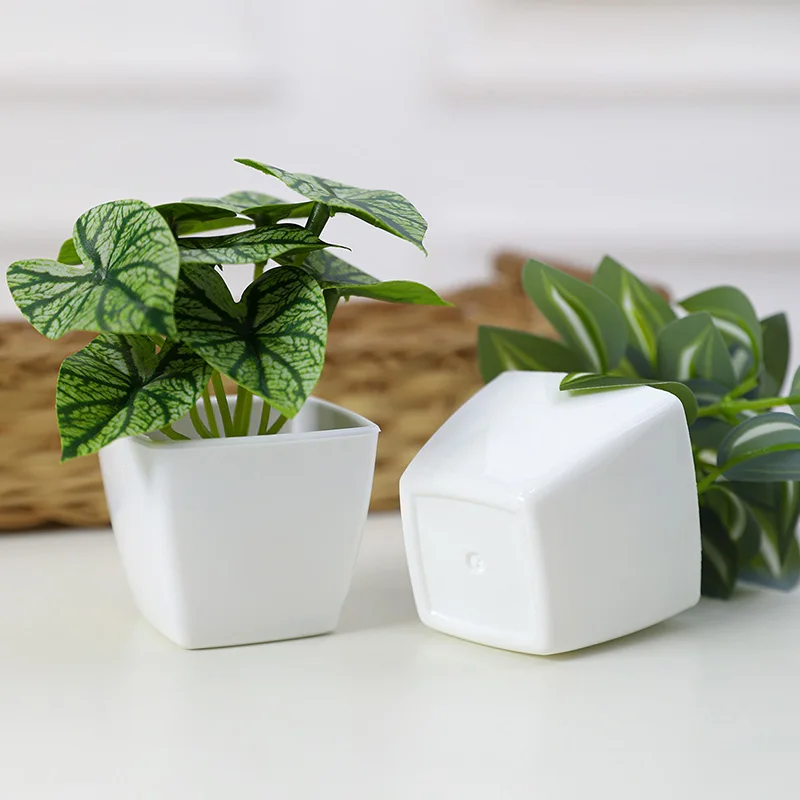 6 Stück künstliche immergrüne Pflanzenbonsai, geeignet für Zuhause, Restaurant, Büro, Desktop und Fensterbank-Dekoration – Detail 3