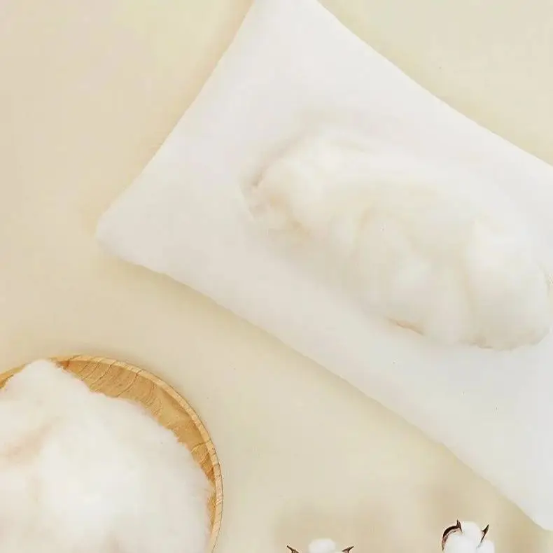 Children's Baby Pillow Class A Baby Pillow Pillowcase Kindergarten Double-sided Fleece Removable Autumn Winter