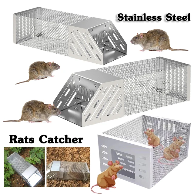 Egerek Rágcsáló Patkány Fogó Rozsdamentes Acél Csapda Nem Mérgező Háztartási Egér Pusztító Élő Egércsapda Otthon