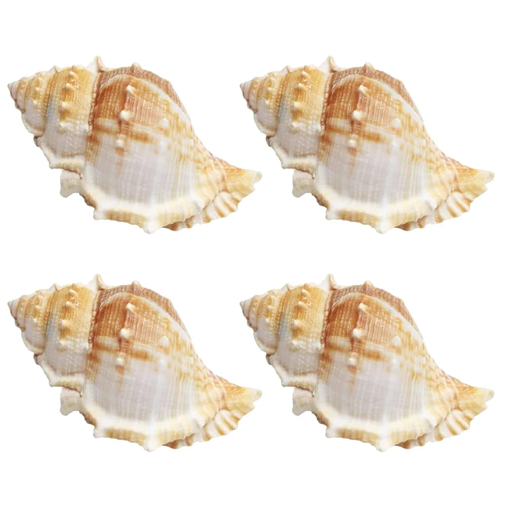 

4 Pcs Table Top Decor DIY Conch Exquisite Statue Adorn for Landscape Fish Tank Aquarium Craft Seaside