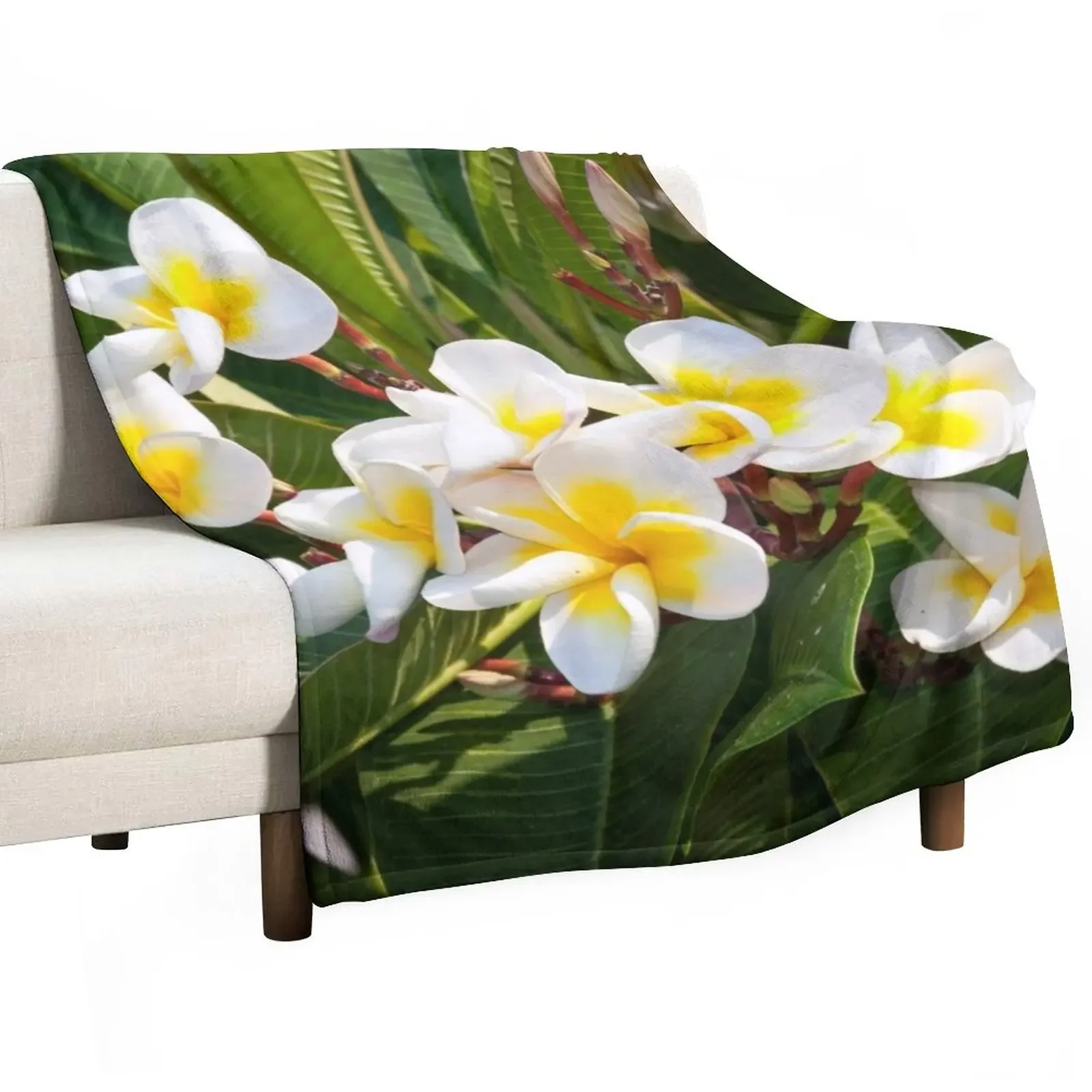 

Franjipani Throw Blanket For Baby Weighted Cute Furry Blankets