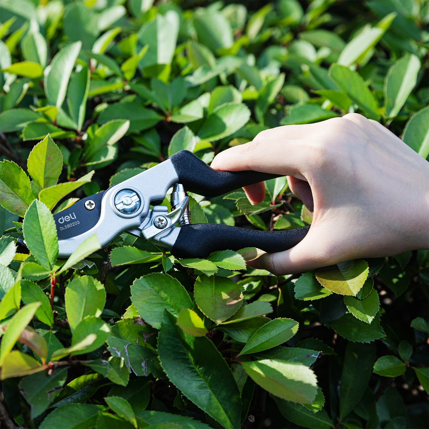 Deli 8.5 Inch Garden Scissors Professional Sharp Bypass Pruning Shears Tree Trimmers Secateurs Clippers Garden Scissor garden scissors