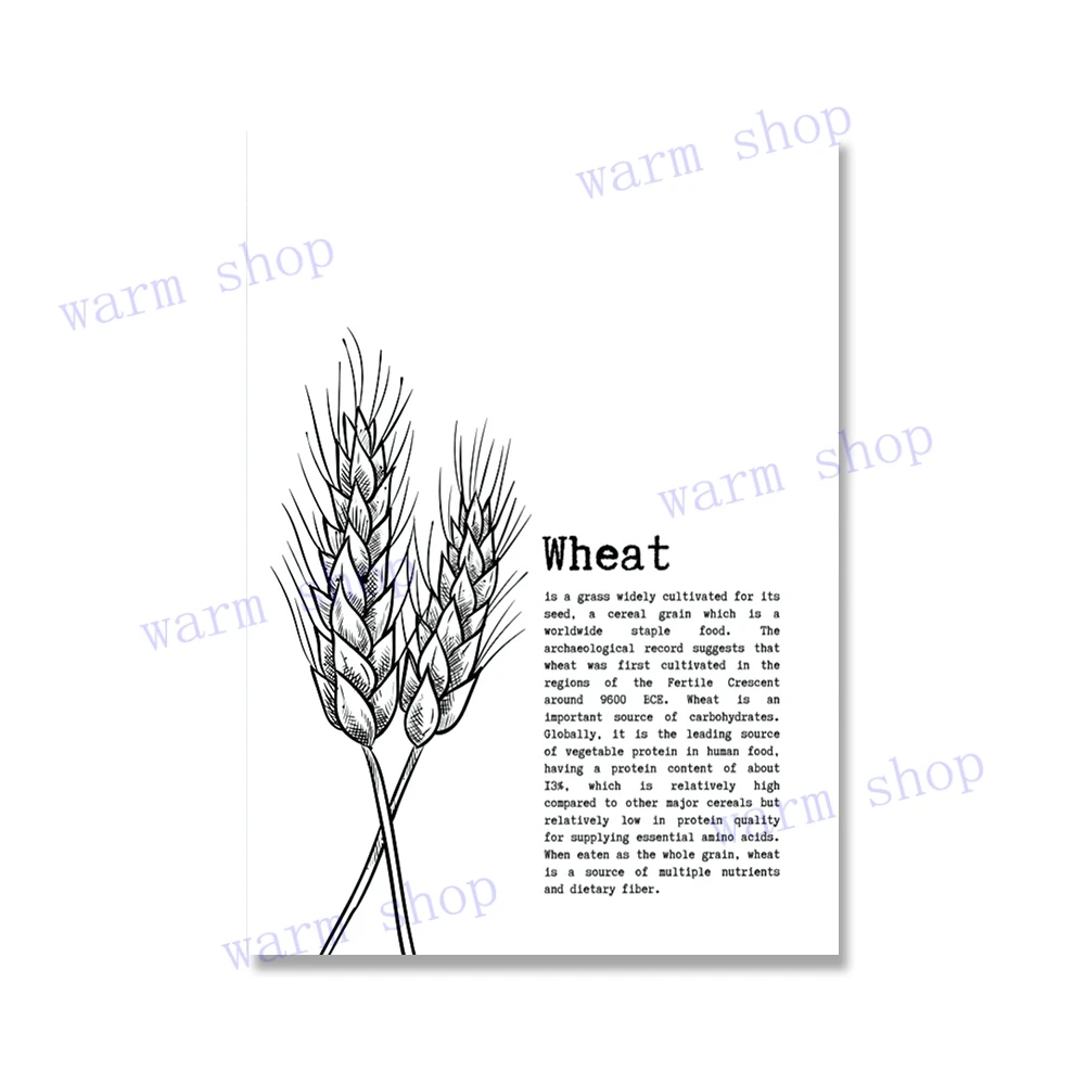 thumbnail image 1 of Póster de curiosidad, ciencia, universo, minimalista, imprimible, planta de semillas de café, pintura en lienzo sónica cuántica, decoración de pared para aula, 1 of 5