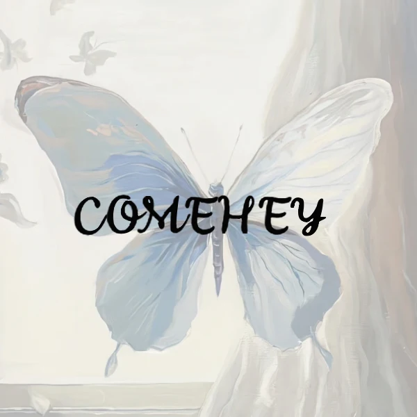 COMEHEY Store