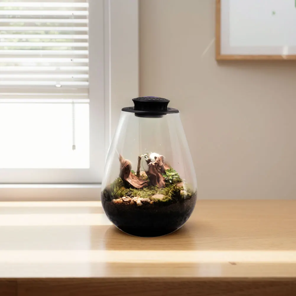 Terrarium en verre pour plantes avec lampe de croissance – Décoration moderne pour la maison et le bureau