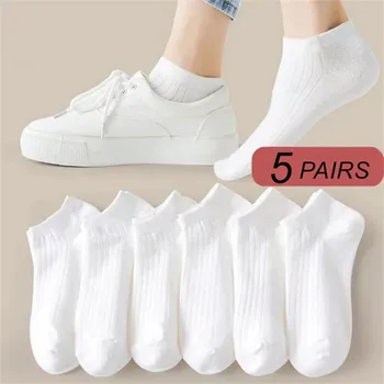 5 Pairs/Pack Ankle Socks 1