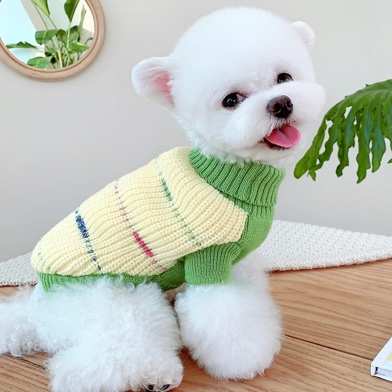 Dog Sweaters for Small Dogs Clothes Pet Sweater Ranking TOP9 Cat Coats Translated