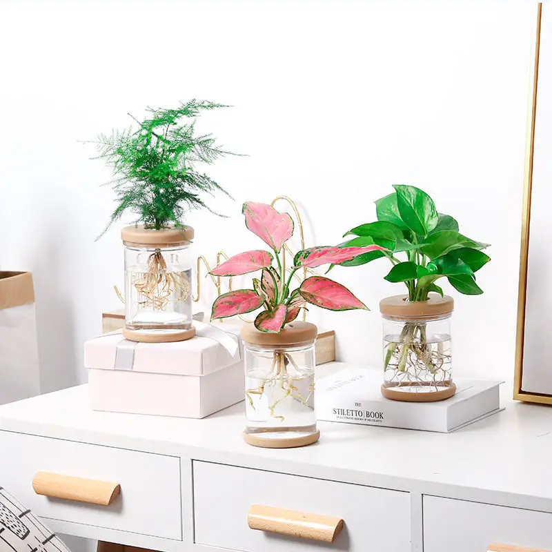 

Mini Hydroponic Flower pot Office Desktop Wind Green Water Raise Transparent Plastic Bottle Soilless Pots for Home Decoration
