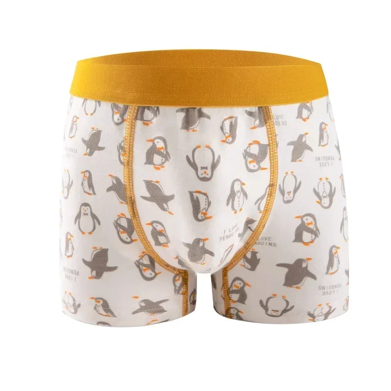 Boys Antibacterial Panties 1-5Y Young Children Cotton Underwears Soft Kids Thin Breathable Briefs Baby Boy Dinosaur Print Briefs