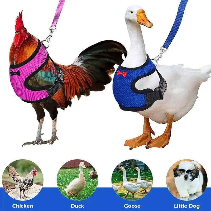 Pet Adjustable Harness Leash for Chicken Puppy Comfortable Breathable Pet Vest for Small Dogs Duck Goose Training Accessories chicken toys accessories