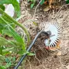 Gardening Hoe Weeding Tool Root Pulling Sunflower Weeding Handheld Rake Loosening Soil Puller Mangane Steel Weeding Removal Tool 3
