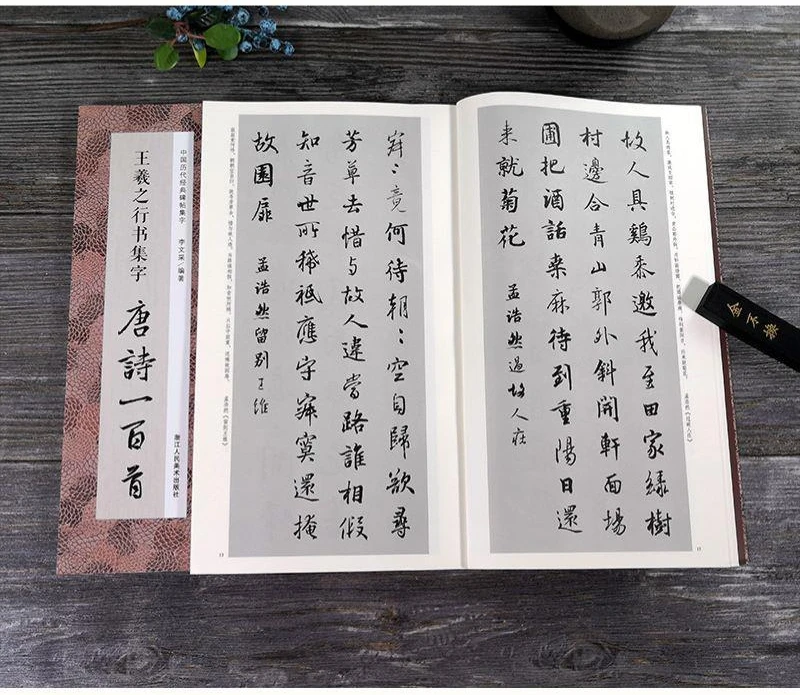 Yan Zhenqing Ouyang Xun Regelmäßige Skript Copybook Wangxizhi Laufenden Skript Tang Gedichte Buch Liu Gongquan Pinsel Kalligraphie Notebook – Detail 5