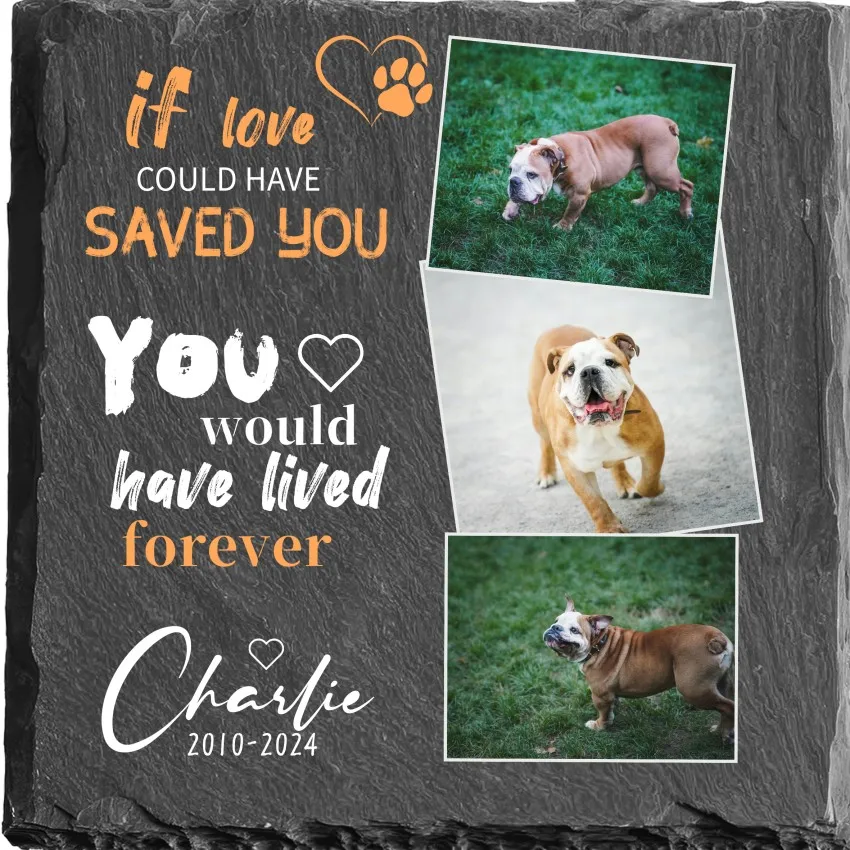 Made Pet Tombstones Printed with Photo Name Date Cat Dog Memorial Gifts Plaque Grave Garden Stones