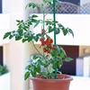 25pcs, Bamboo Plant Stakes, Plant Sticks Support, Floral Plant Support Wooden, Indoor Gardening Plant Supports 3