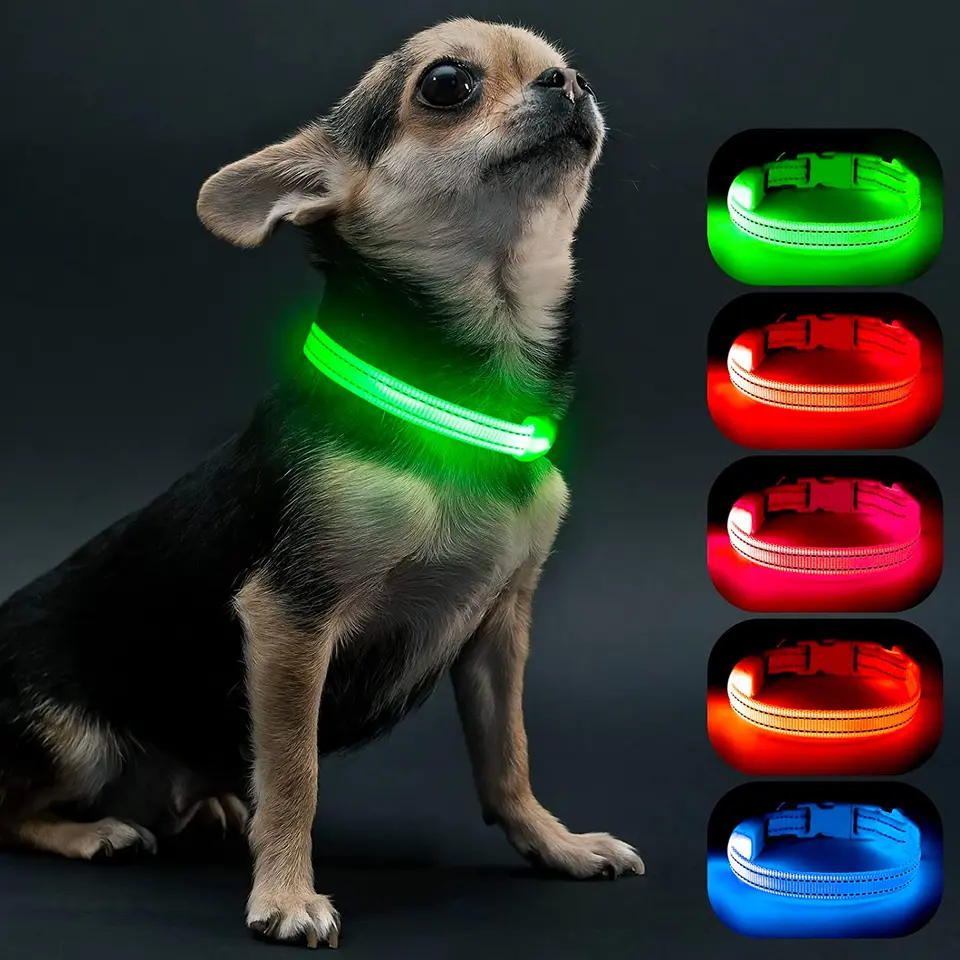 Luz para collar de perro, 4 modos, luces recargables para perro para  caminar por la noche, luz impermeable IP68 para perro, luz pequeña y ligera  para