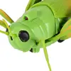 Simulation RC Grasshopper Toy, Remote Control Animal Toy for Kids 6 and Up Children 5