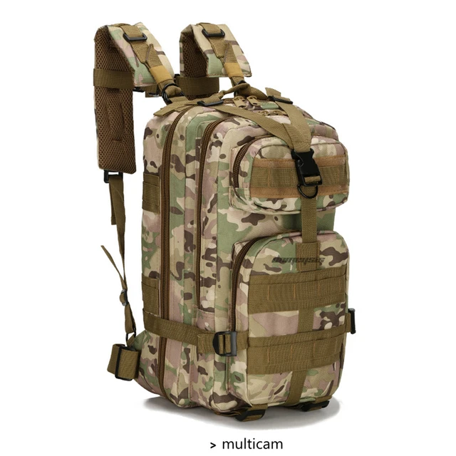 Multicam