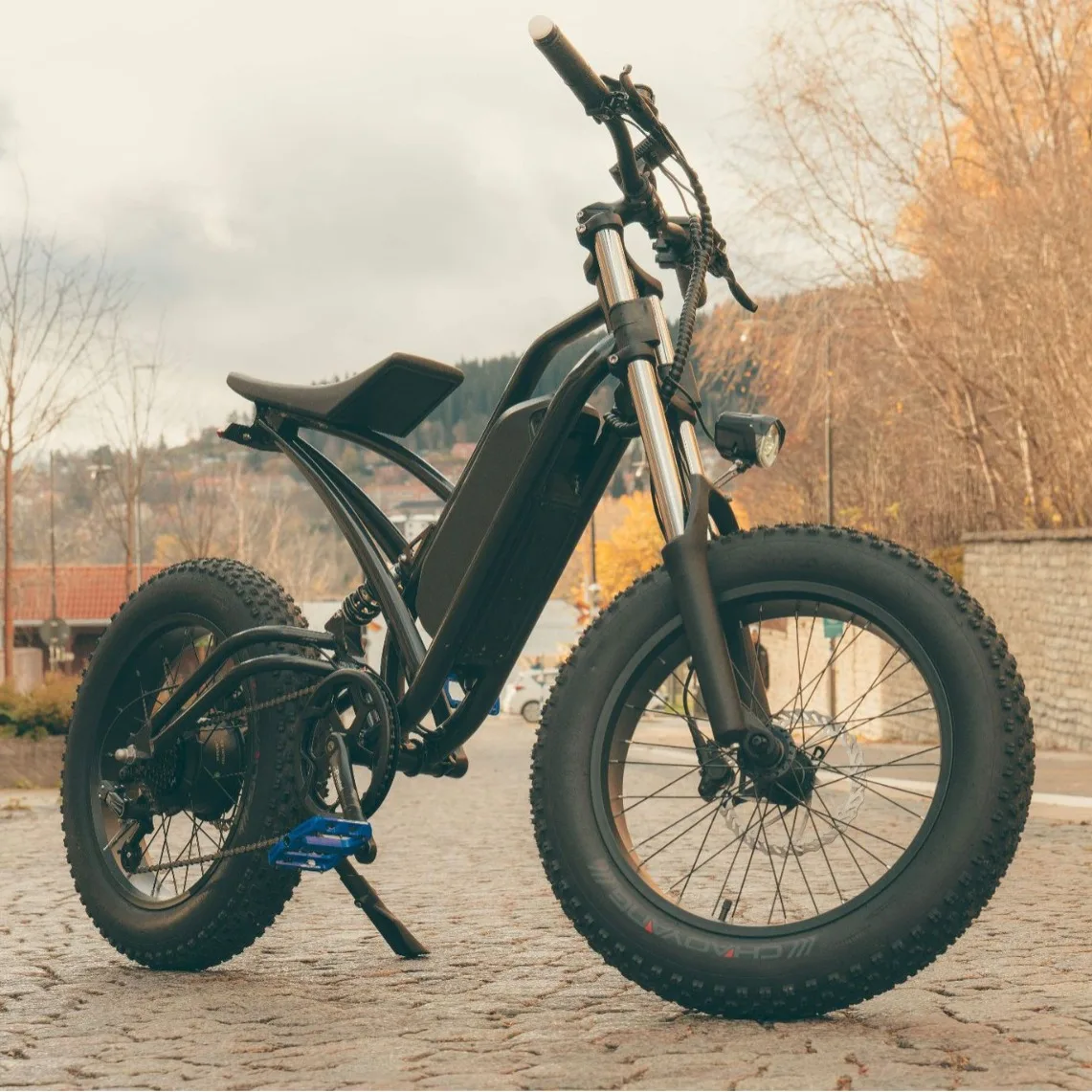 Electric mountain bike bicycle 20 inches 1000w fat tire electric motorcycle 48V