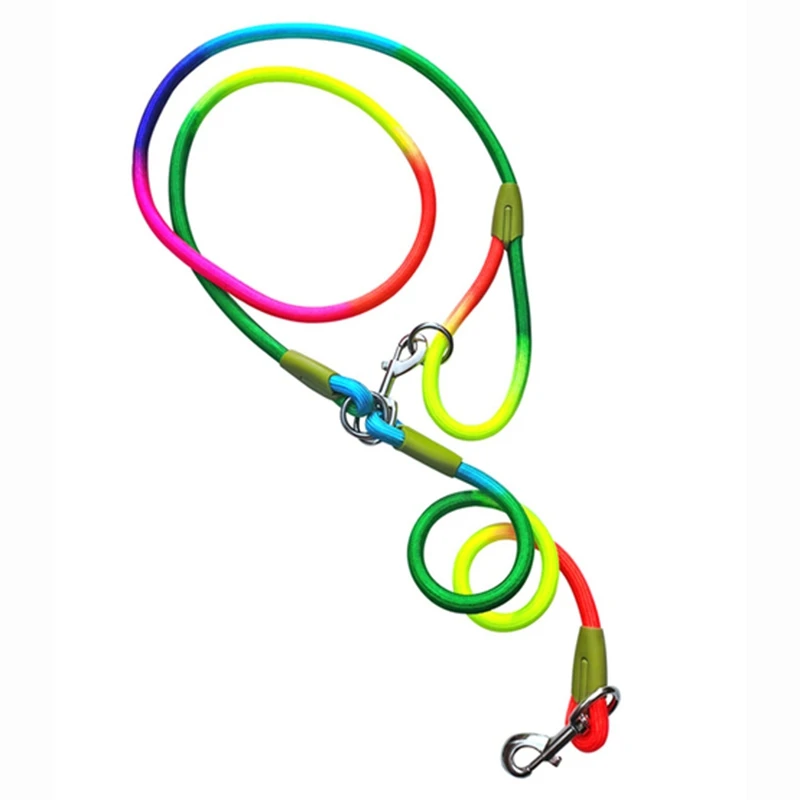 Dog Leash Colourful