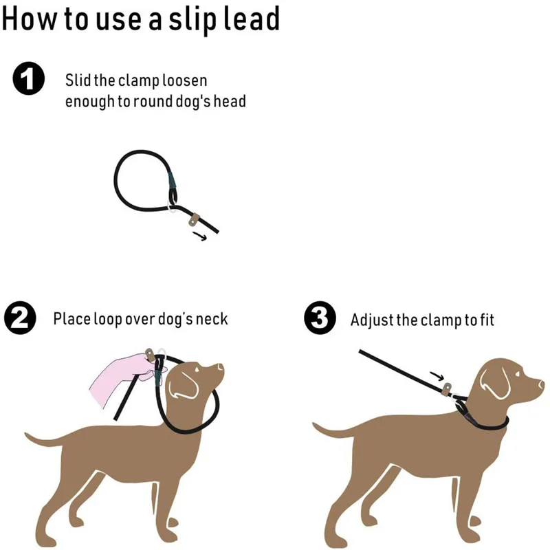 Dog Leash Training Slip Lead Dog Leash-6 FT Strong Rope Leash for No Pulling Pet Training-Ideal for Small Medium and Large