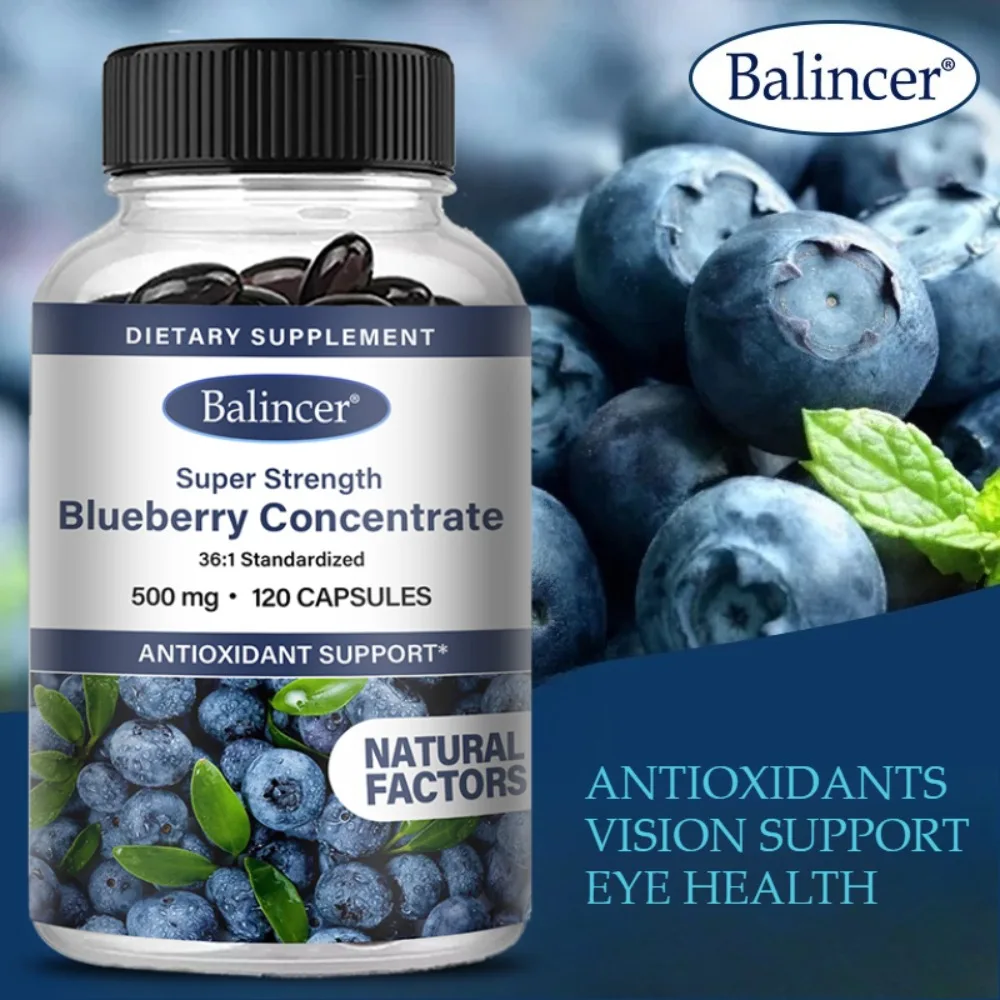 Blueberry Concentrate - Natural Antioxidant, Boosts Immunity, Supports Brain and Eye Health, 120 Capsules