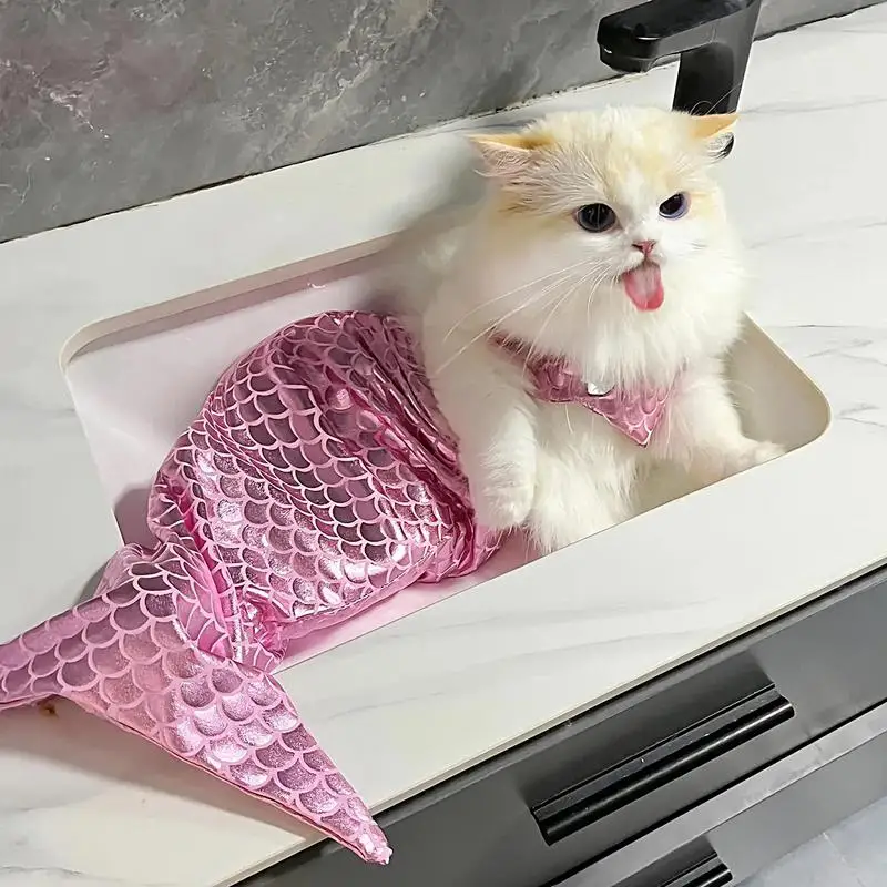 Gattino Gatto Con Costume Da Bagno Costumi Di Gatti Divertenti