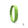 Green L