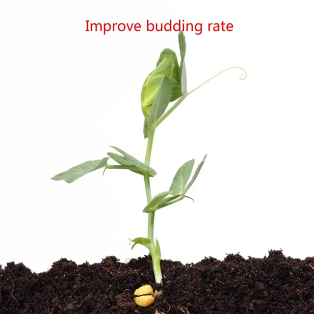 200G Talaj Aktivátor Növényi Gyümölcsök Termesztése Ásványi Forrás Megakadályozza A Keményedést - Image 6