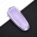 Silver edge purple