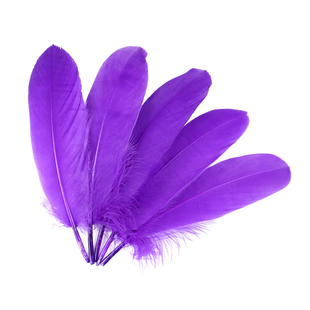 Plumas De Ganso Para Manualidades Y Decoración Bodas