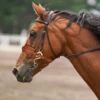 Horse Bit Bridle Hackamore Brown English Western Nose Curb Chain Padded Adjustable Horse Equipment 1