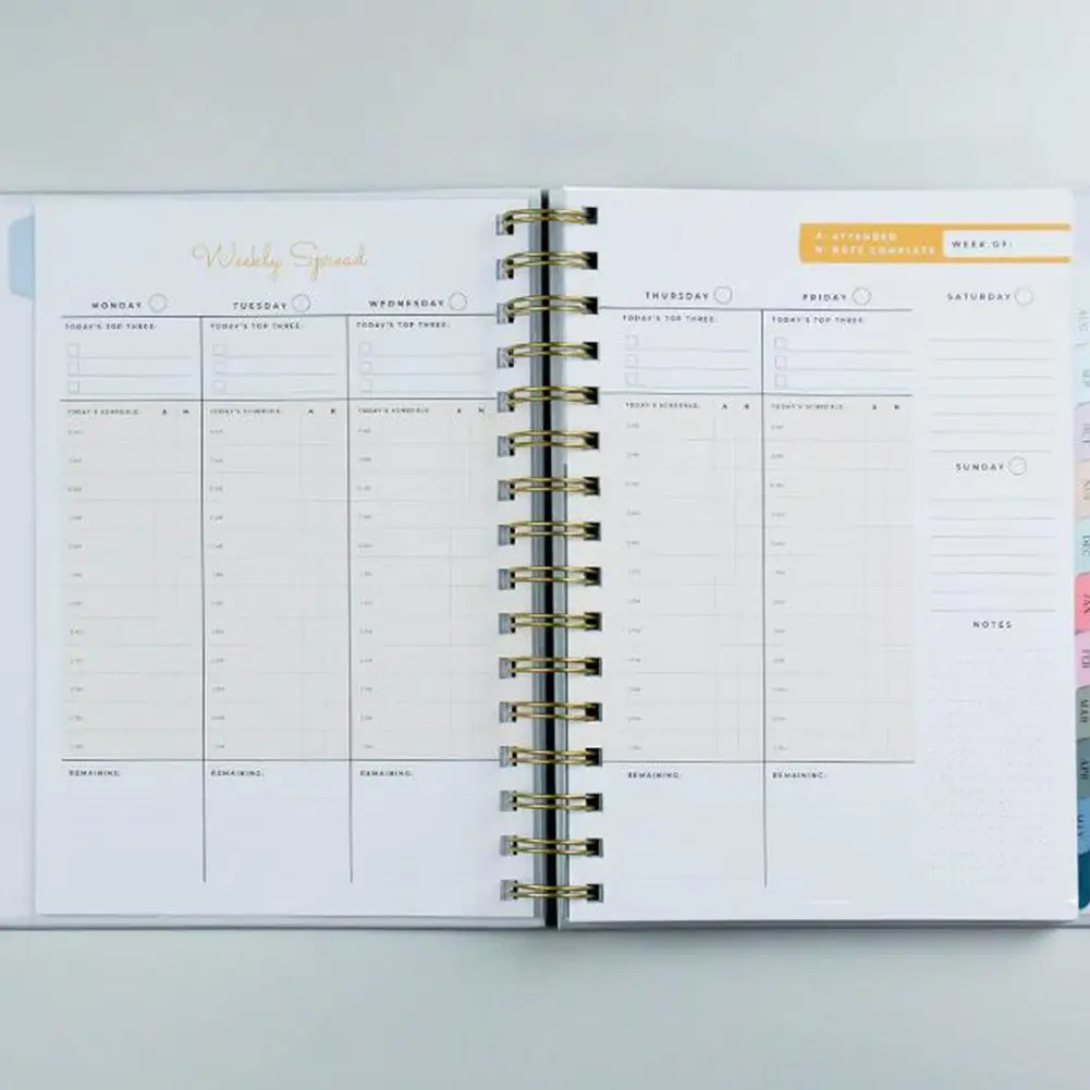 Рисунок 5 - 2022-2023 Φ Book ежемесячный недельный