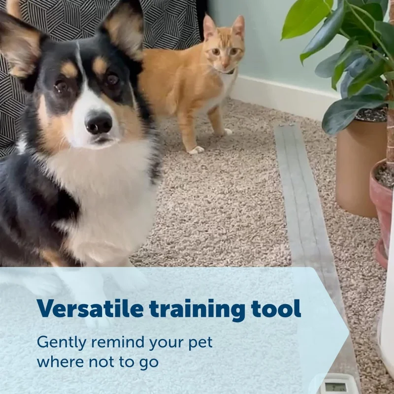 PetSafe ScatMat Indoor Training Mat, 7 Correction Modes, Protect Your Furniture, Training Tool for Dogs and Cats, Threshold Size